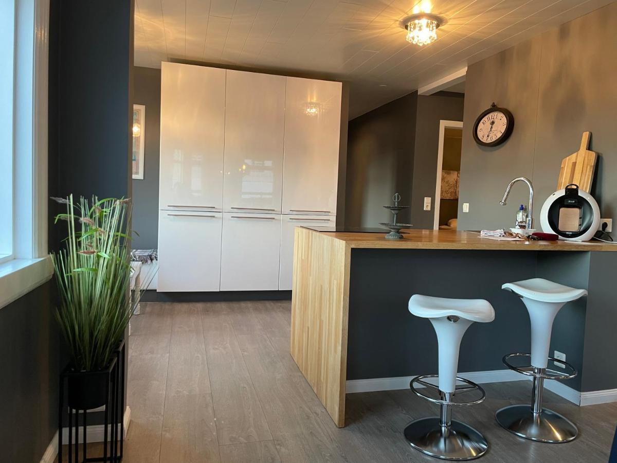 Lovely Penthouse Downtown With 3 Bedrooms Akureyri