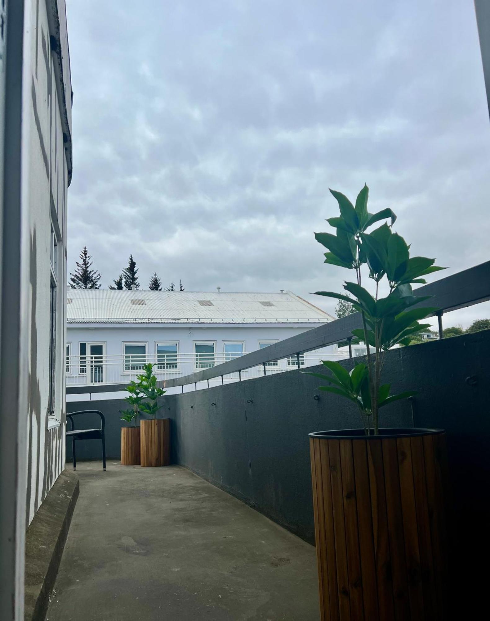 Lovely Penthouse Downtown With 3 Bedrooms Apartment *